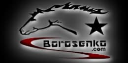 Borosenko